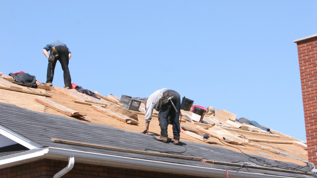 A professional roofing crew installing new architectural shingles on a roof in Pinellas County, showing the roof replacement process.